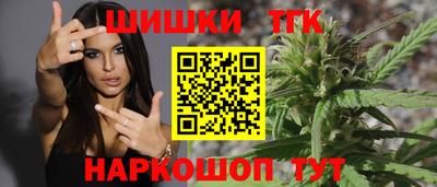 индика Рузаевка